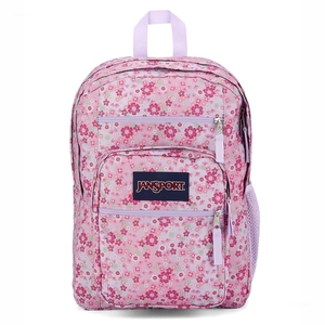 Sac à Dos Ordinateur JanSport BIG STUDENT Rose | EIT-83198832